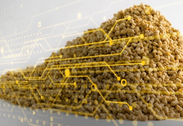 Os benefícios da automação para produção de ração e as principais etapas para sua implantação